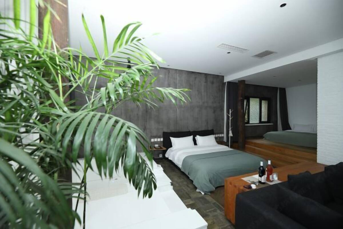 A modern hotel room with a bed, a sofa, a coffee table, and a large plant.