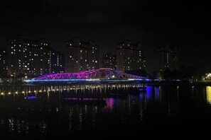 Vista desde la propiedad