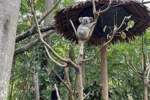 Property grounds - BONUS Hotel Panyu Wildlife Park World,Dashi Subway Station (Guangzhou)