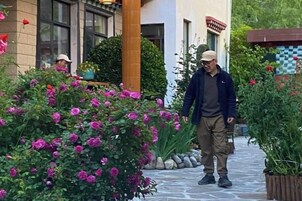 Un hombre camina sobre un sendero de piedra rodeado de flores vibrantes y vegetación.