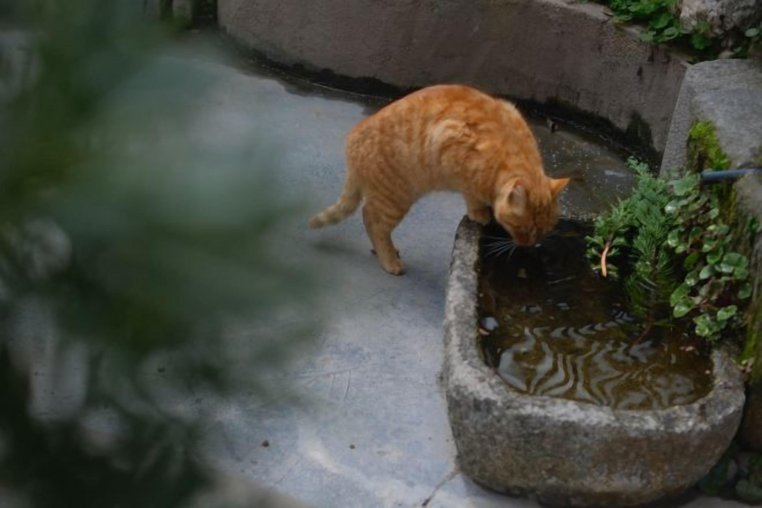 숙박 시설 구내