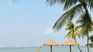 A beach with two thatched umbrellas, a sandy shore, and palm trees.