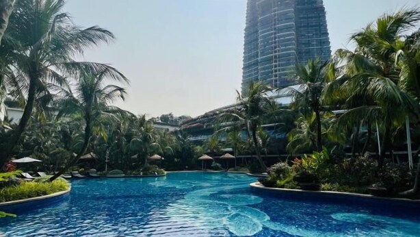 A swimming pool surrounded by palm trees and greenery, with a tall building in the background.