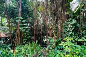 Property grounds - Seaview 2B1R 4pax Condo Forest City 4D-1809 (Gelang Patah)