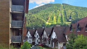 A row of traditional chalet-style buildings with a mountain backdrop. - Čertovka by Interhome (Harrachov)
