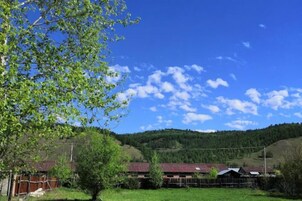 Paisaje rural con cielo despejado, un árbol y un edificio con techo rojo.