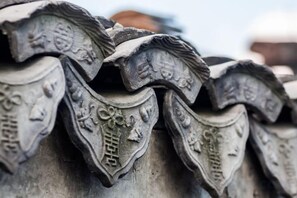 Primer pla d'un teulat tradicional amb detalls escultòrics i dibuixos complexos.