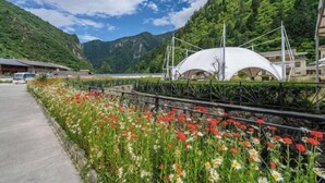 Un paysage montagneux avec une structure en forme de dôme blanc, une promenade pavée et un parterre de fleurs rouges et blanches.