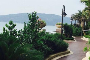 Jardim