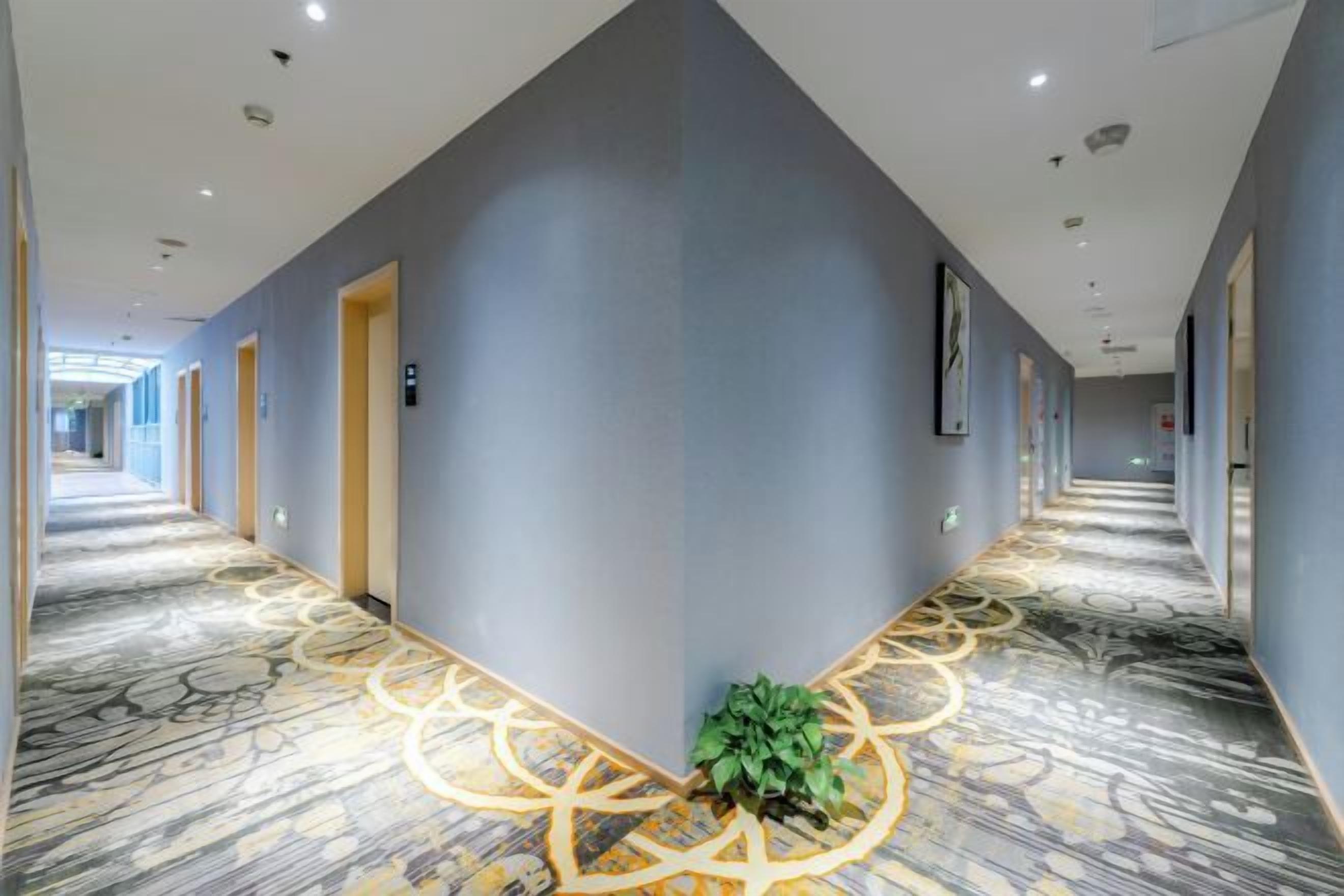A hotel corridor with a patterned carpet, doors on both sides, and a plant at the corner.