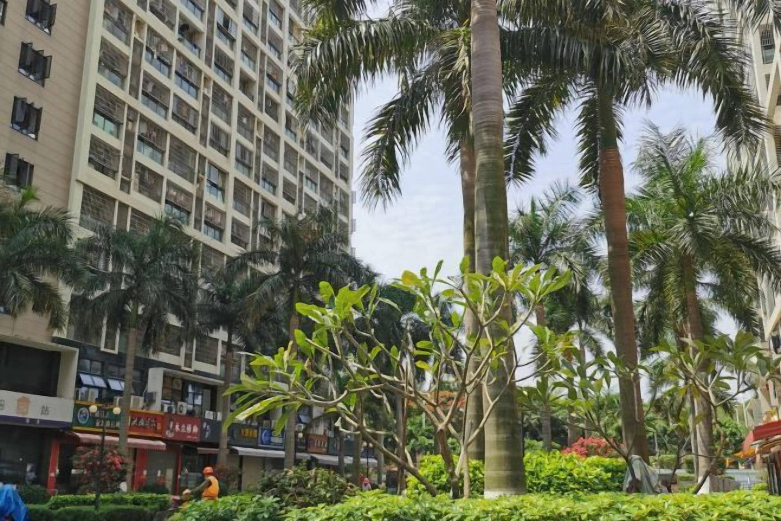 Edificio de varios pisos con planta comercial en la base, rodeado de palmeras y abundante vegetación.
