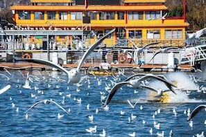 Udsigt fra overnatningsstedet