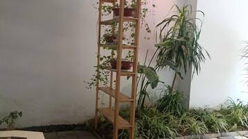 A corner with a wooden plant shelf holding potted plants, a tall potted plant, and a small garden area with pebbles.
