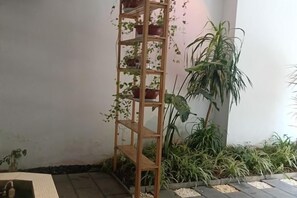 Un coin agrémenté d’une étagère en bois où sont disposées des plantes en pot, d’une grande plante en pot et d’un petit espace aménagé en jardin avec des galets.