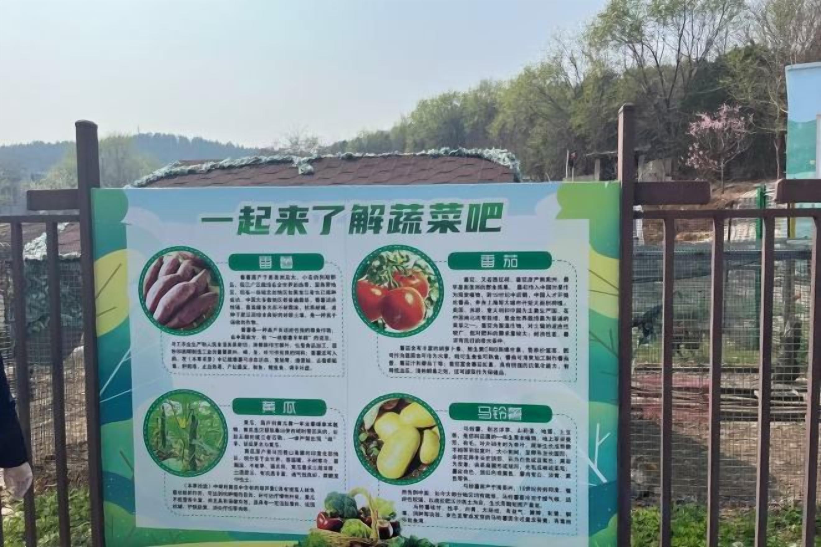 A signboard with text and images of vegetables.