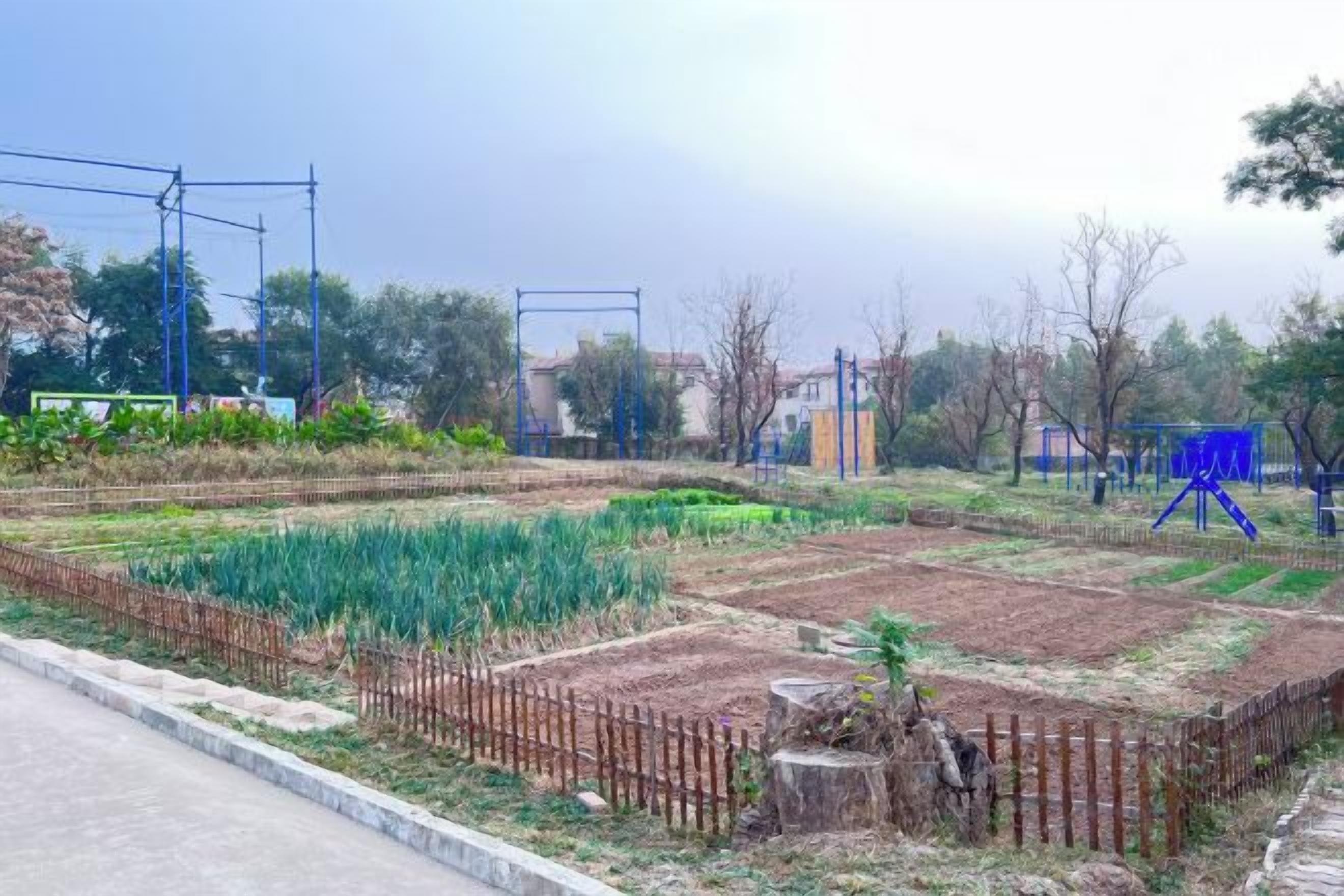 A residential area with a garden, a fence, and a blue structure in the background.