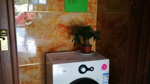 Ein Zimmer mit einer TCL-Waschmaschine, einer Topfpflanze darauf und einem grünen Schild an der Wand.