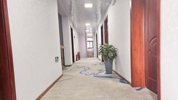 Un corridoio d'hotel con tappeto a motivi, porte in legno e una pianta in vaso.