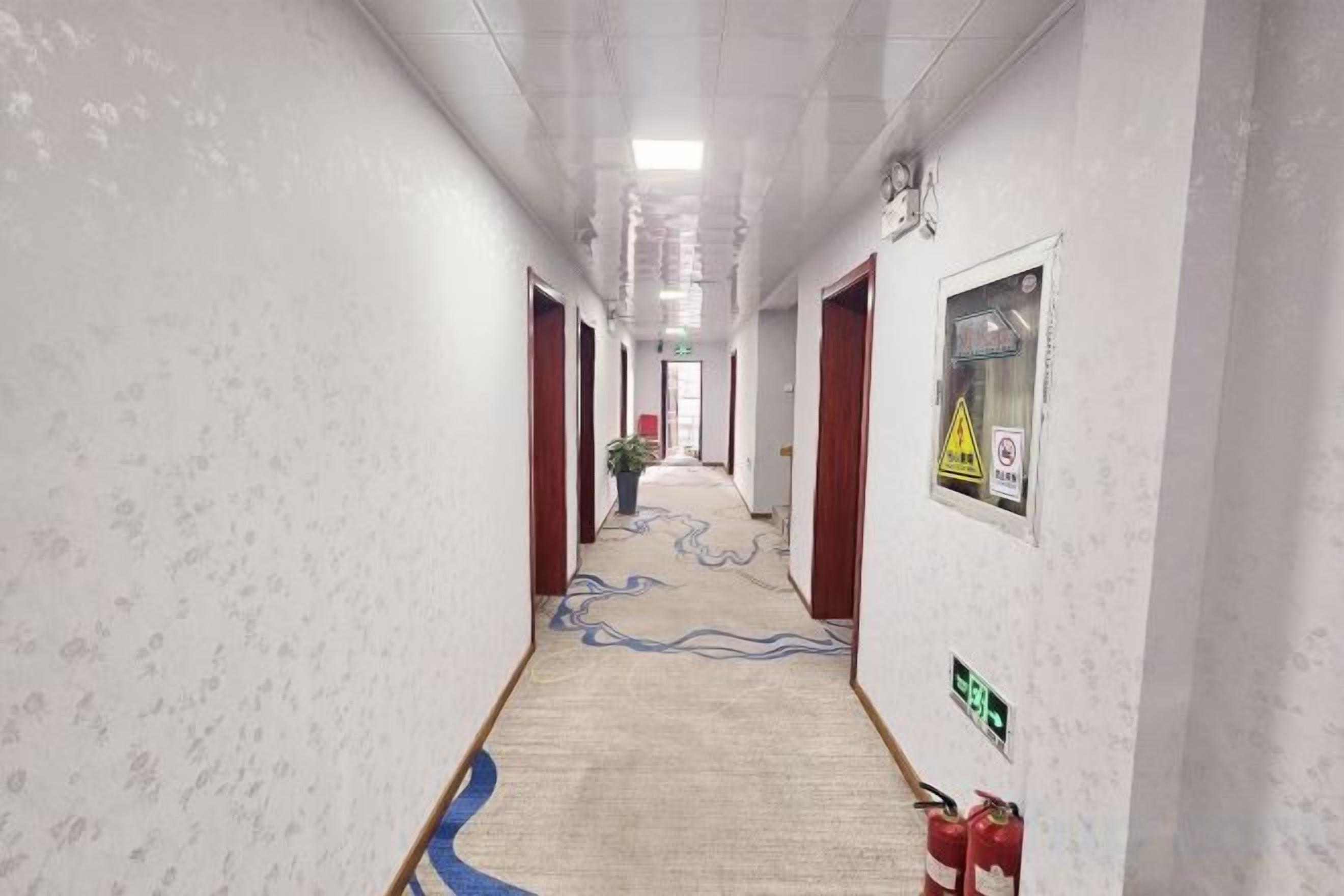 Un pasillo de hotel con paredes estampadas, suelo alfombrado y puertas que dan a las habitaciones.