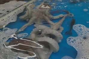 Miscellaneous - Yunqi Fanhuali Holiday Apartment (Haikou Meilan Airport Shop) (Haikou)