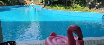 Nanshoufeng Yangshenggu