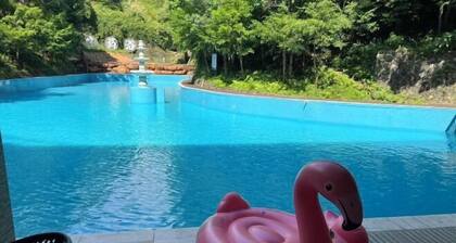 Nanshoufeng Yangshenggu