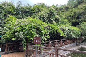 Property grounds - Nanshoufeng Yangshenggu (Meizhou)