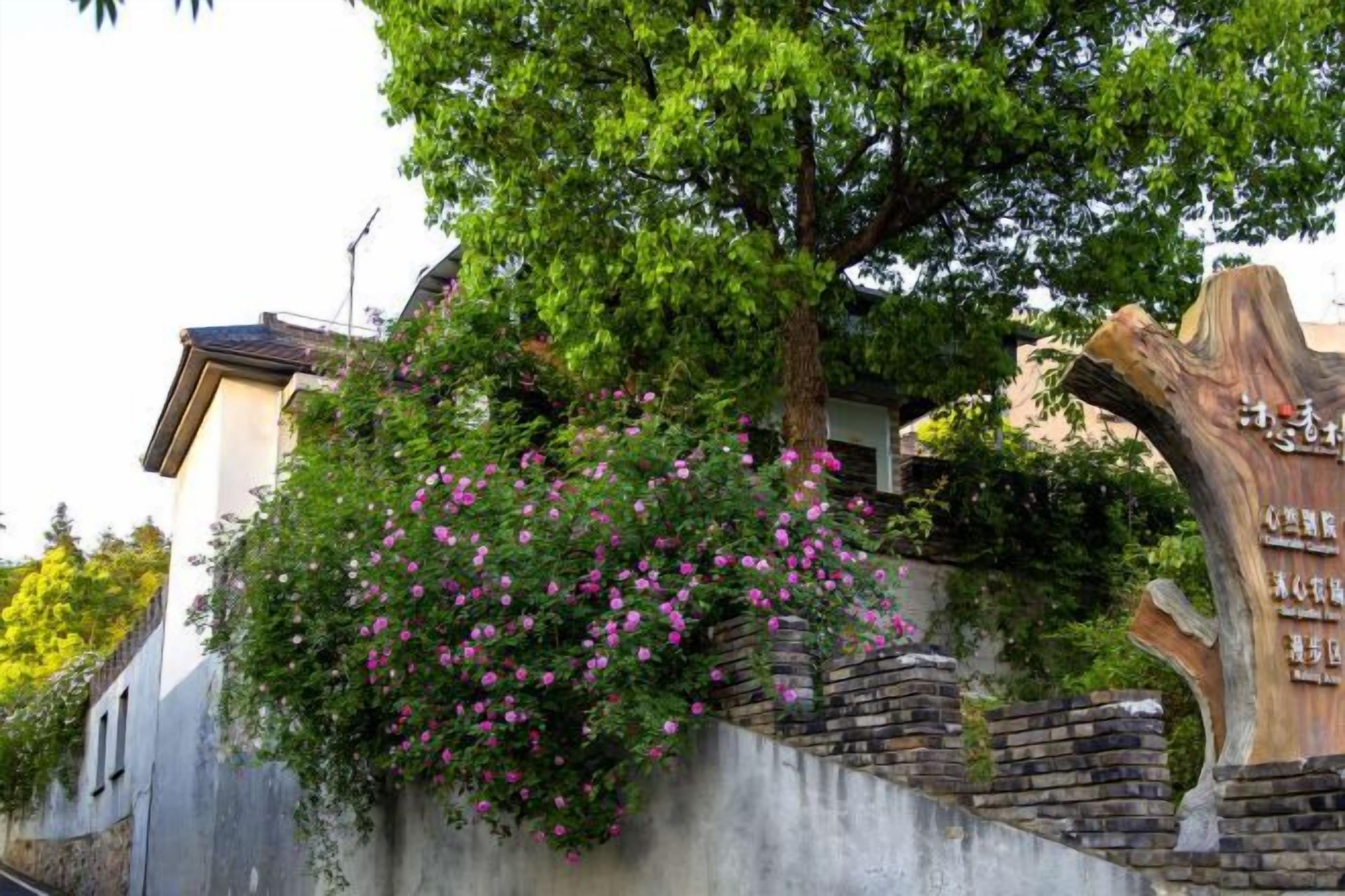 A building with a tree and flowers, a stone wall, and a wooden structure with text.
