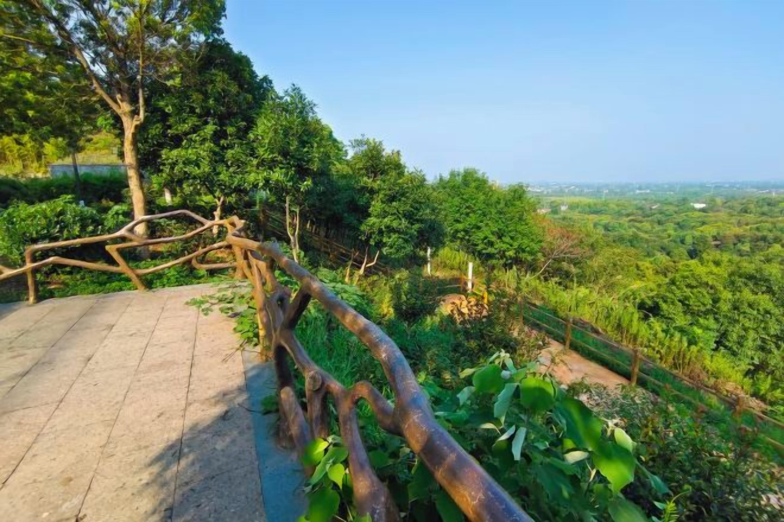 A paved walkway with a rustic wooden railing, surrounded by lush greenery and trees.