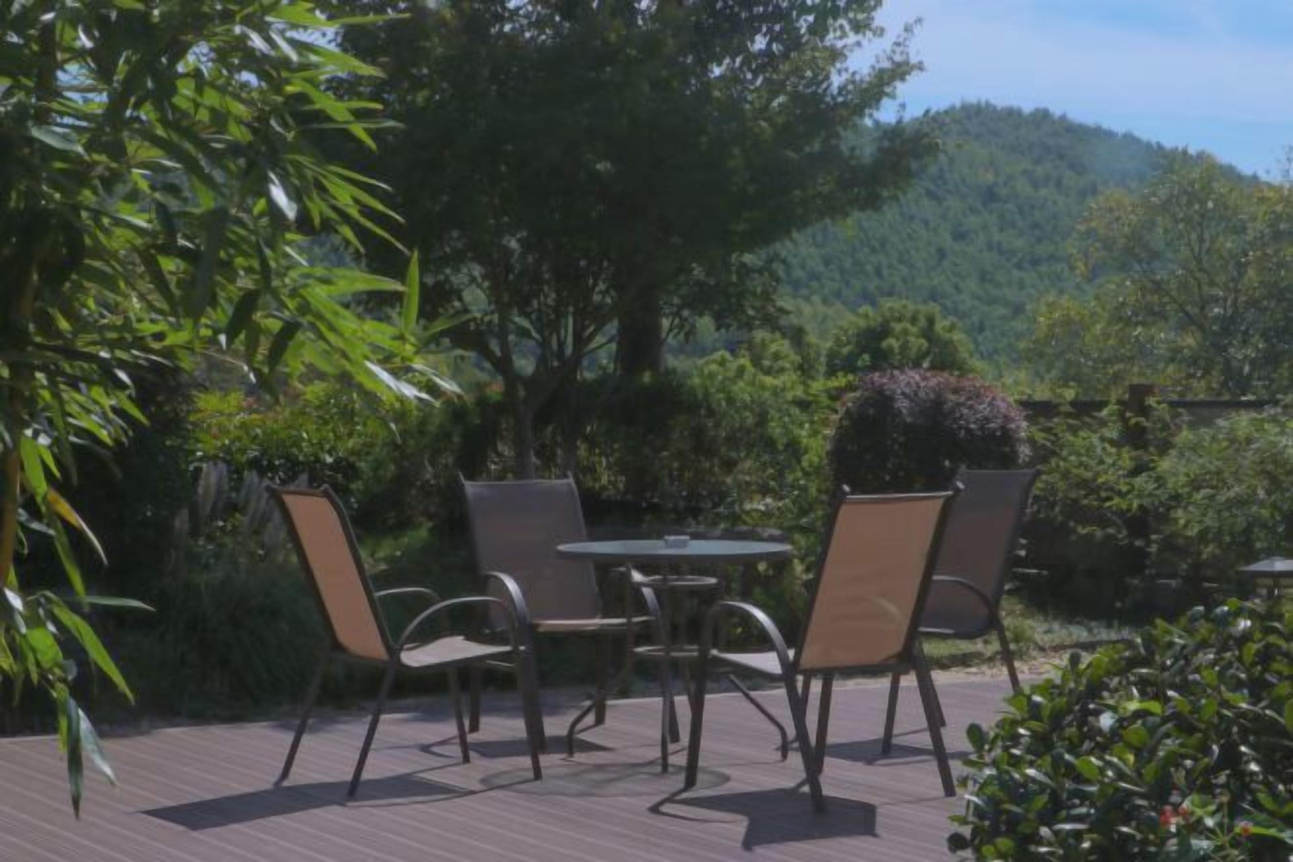An outdoor patio with a table and chairs, surrounded by greenery and a view of a forested hill.