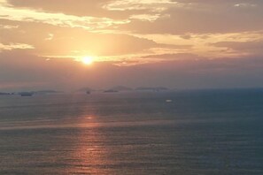 미분류 이미지, 2/20장, 버튼