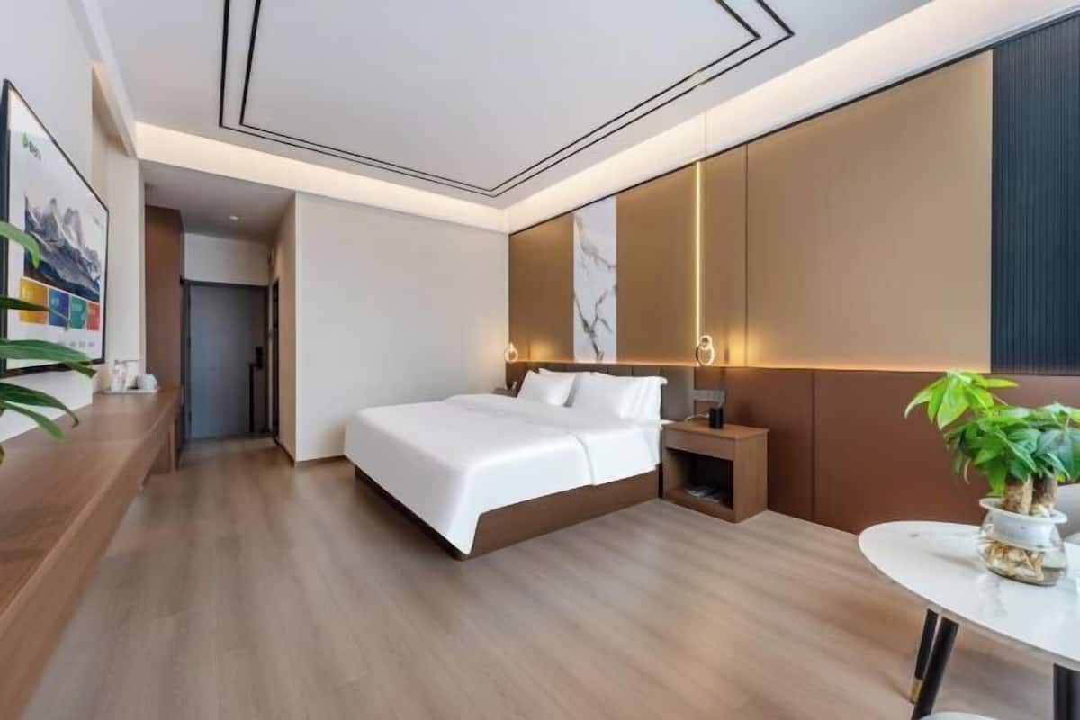 Una habitación de hotel moderna con una cama grande, mesitas de noche, un escritorio pequeño y una planta en maceta.