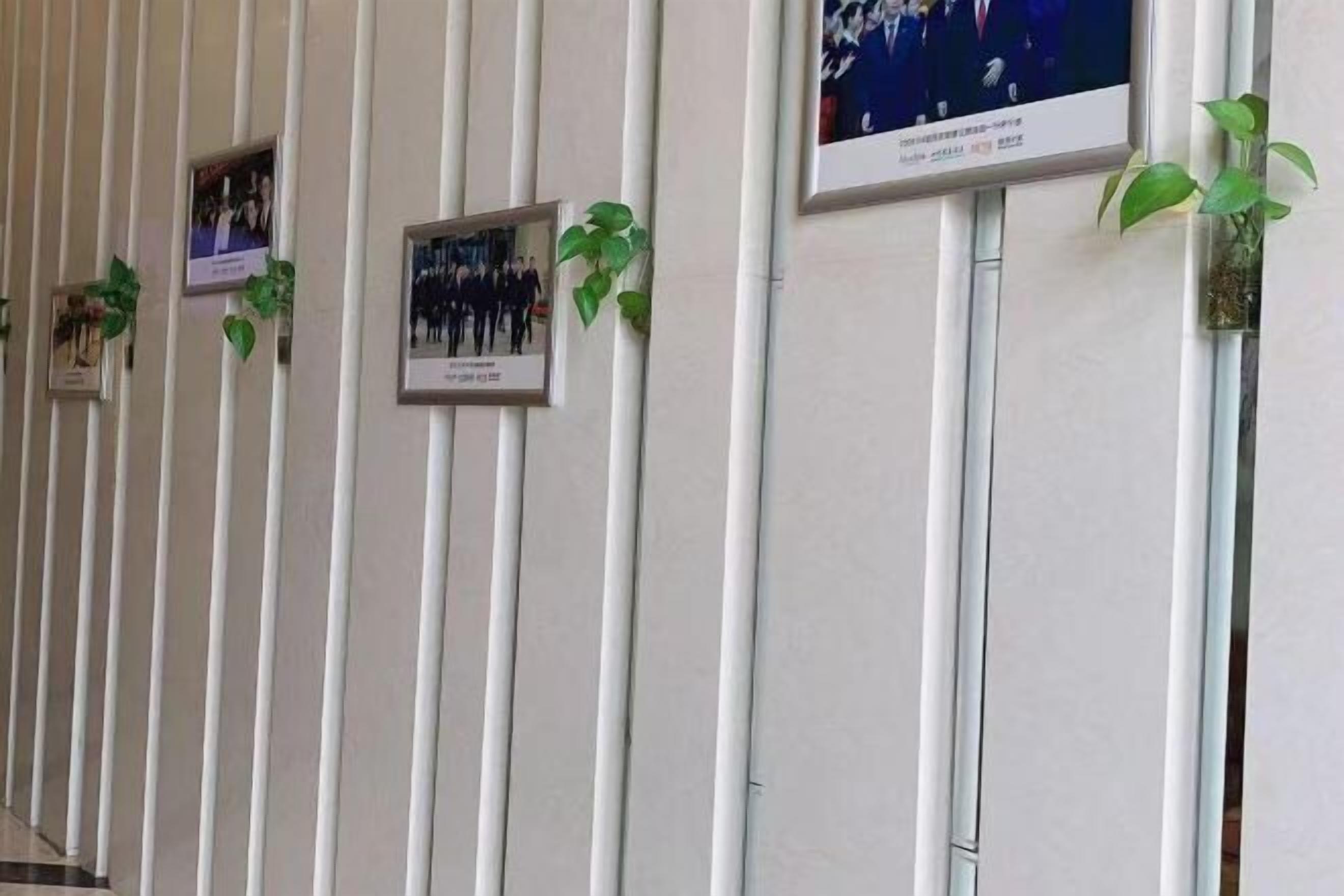 A wall with vertical white panels, framed pictures, and small potted plants. - nanyuan e home hotel (liu an Railway Station Hotel ) ) (Lu'an)