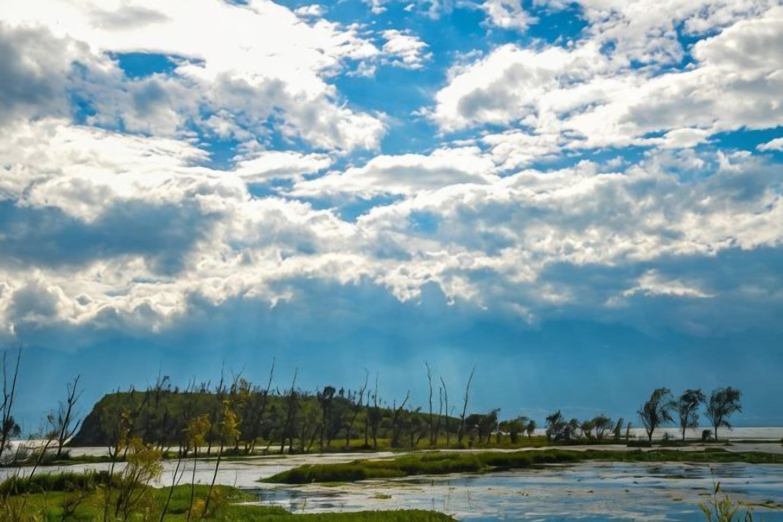 A landscape with a body of water, trees, and a cloudy sky.