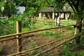 Taman