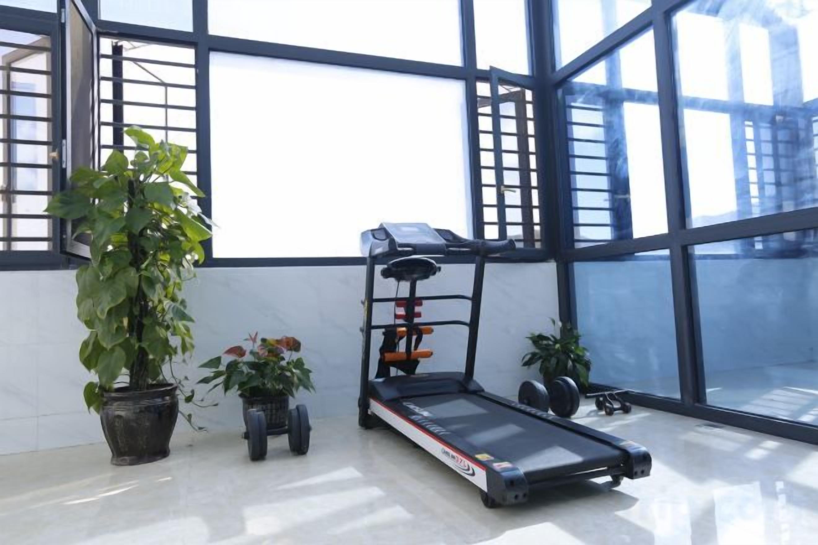 Una habitación con una cinta de correr, plantas en macetas y ventanas amplias.