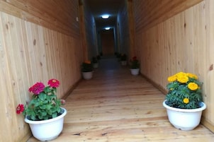 Un pasillo con paredes y piso de madera, que conduce a una puerta al final. Hay plantas en macetas con flores a ambos lados del pasillo.