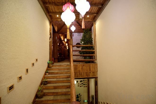 Un escalier en bois avec une rampe, des plantes en pot et des lampes suspendues.