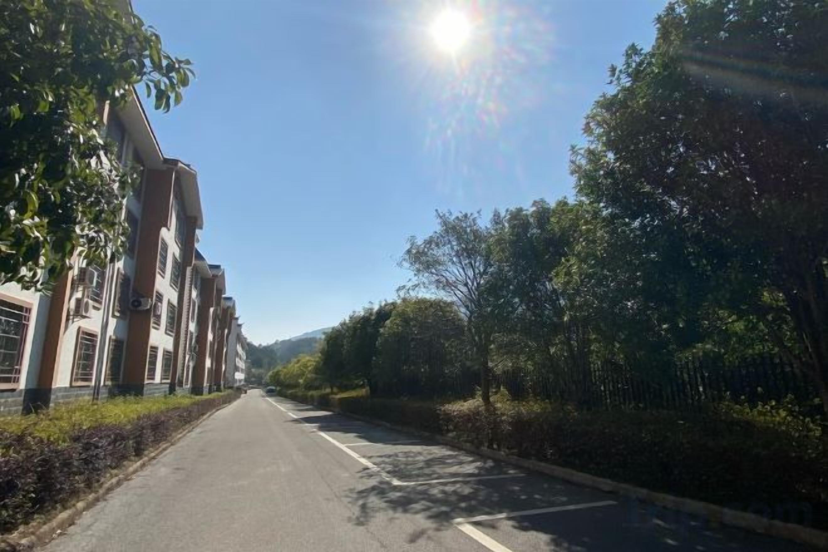En vej kantet af bygninger og træer under en klar himmel.