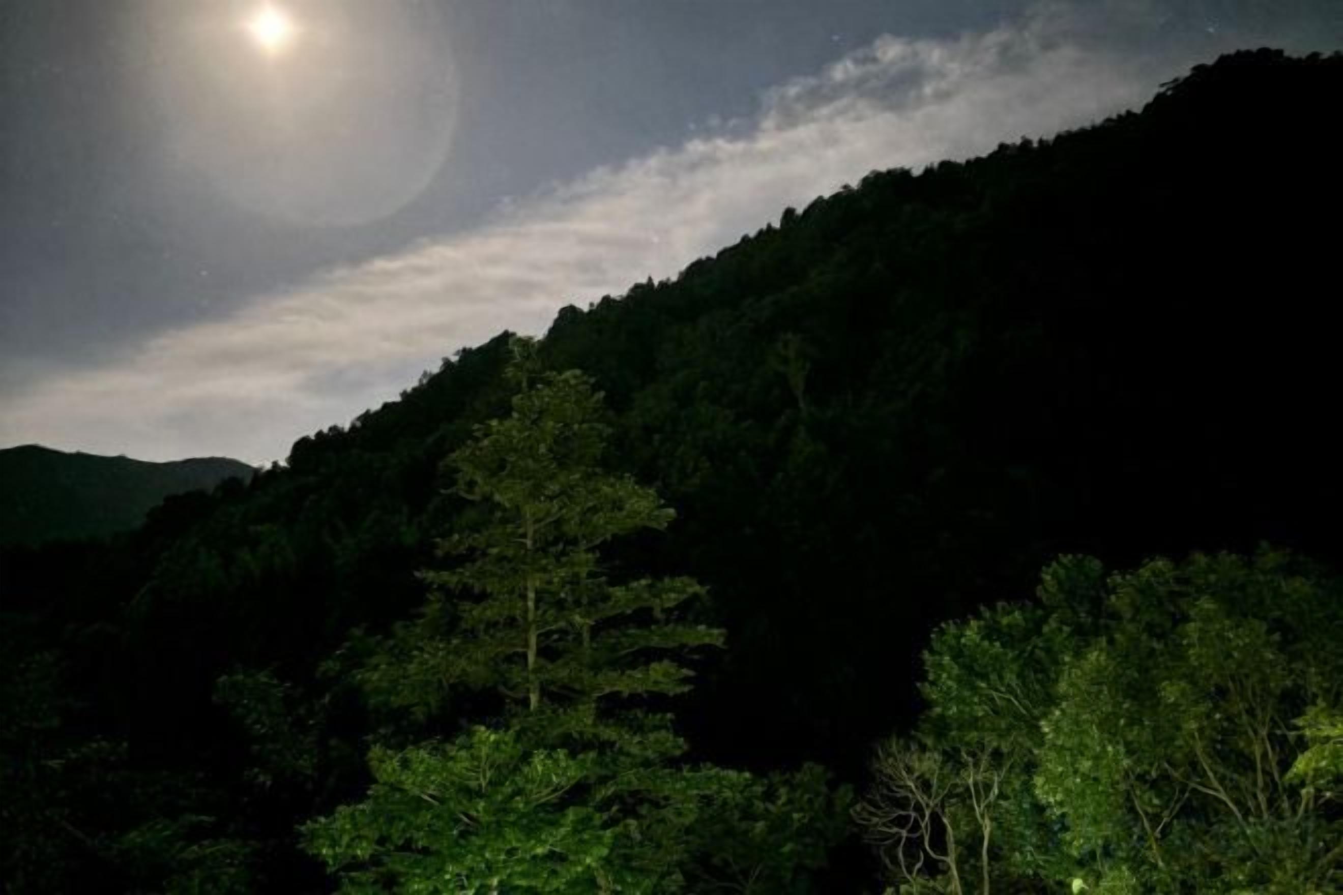A night scene with a full moon, dense forest, and a mountain in the background.