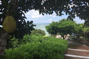 Property grounds - Ruyi Homestay (Yangxi)