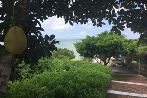 Vista de una zona costera con una escalera que baja a la playa, rodeada de exuberante vegetación y una gran fruta colgando de un árbol.