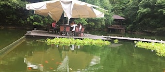 Andes Hotel Pingjiang