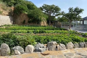 Restaurant - Monkey Mountain Villa Hotel (Mengyin)