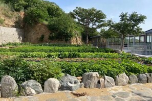 A garden with rows of plants and a stone wall. - Monkey Mountain Villa Hotel (Mengyin)