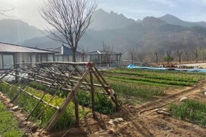 Paisaje rural con una casa tradicional, una construcción de madera y campos en terrazas.