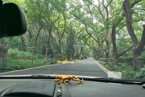 Miscellaneous - Homeinn Hotel (Nanjing Museum Scenic Area Muxuyuan Avenue) (Nanjing)