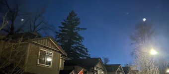 Albion Escape - Bright large 1 bdrm private suite in a forest setting w Parking.