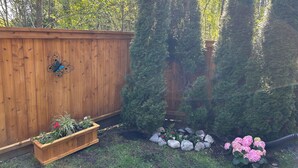 A wooden fence, a wooden planter box with plants, a rock garden with pink flowers, and tall evergreen trees. - Quiet Private suite in a forest setting w/Parking and AC | Maple Ridge (Maple Ridge)