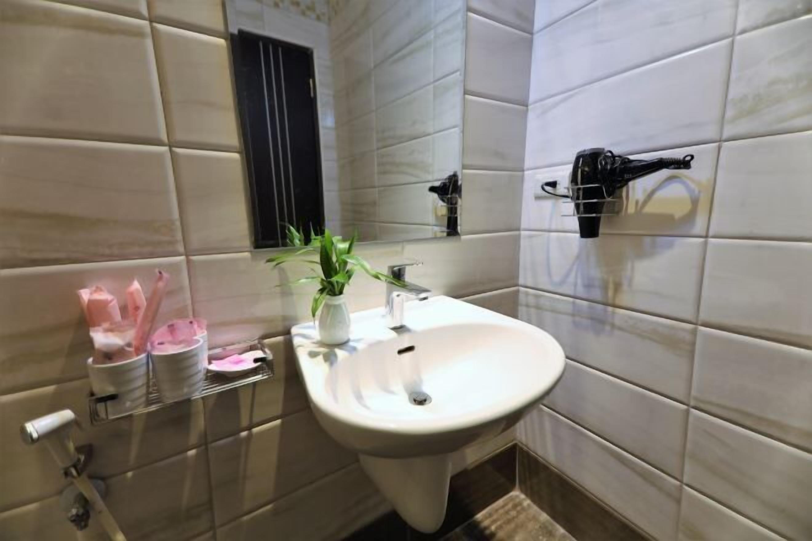 Un baño con un lavamanos blanco, un espejo, un perchero para toallas y una planta en maceta.